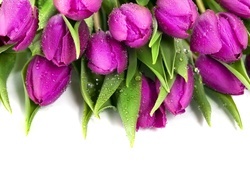Oryginalny obrazek
