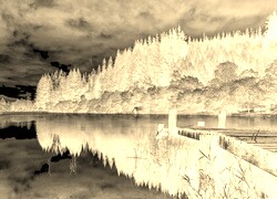 Sepia + Negatyw