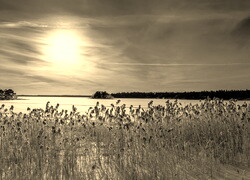 Szary + Sepia