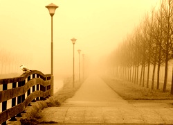 Sepia