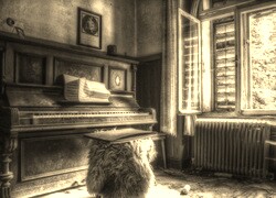 Szary + Sepia