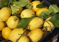 Oryginalny obrazek