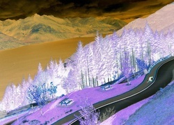Negatyw