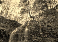 Sepia