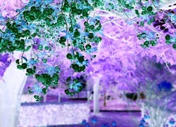 Negatyw