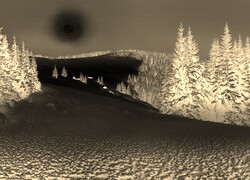 Sepia + Negatyw