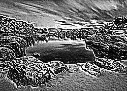 Skamielina