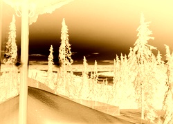 Sepia + Negatyw