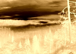 Sepia + Negatyw