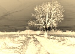 Sepia + Negatyw