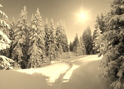 Szary + Sepia