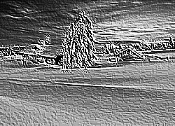 Skamielina