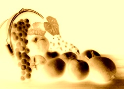 Sepia + Negatyw