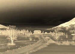 Sepia + Negatyw