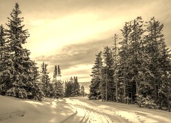 Sepia