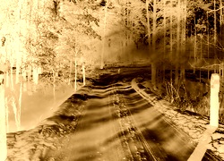 Sepia + Negatyw