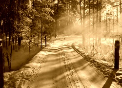 Sepia