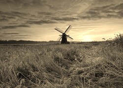 Szary + Sepia