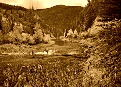Sepia