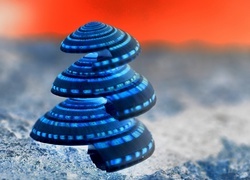 Negatyw