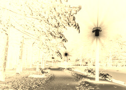 Sepia + Negatyw