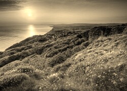 Szary + Sepia