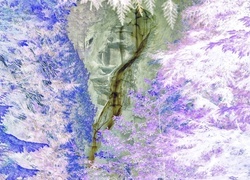 Negatyw