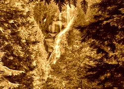 Sepia