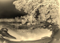 Sepia + Negatyw