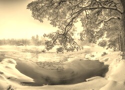 Sepia