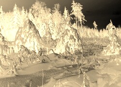 Sepia + Negatyw