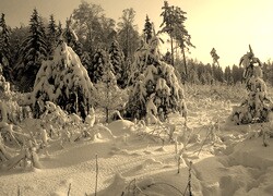 Sepia