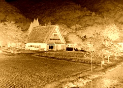 Sepia + Negatyw