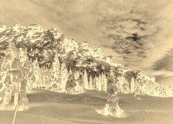 Sepia + Negatyw