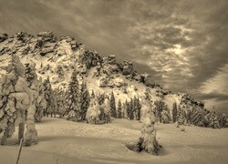 Szary + Sepia
