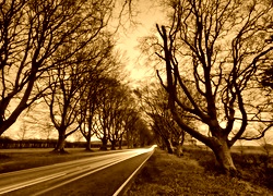 Sepia