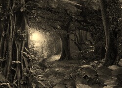 Szary + Sepia