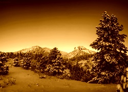 Sepia