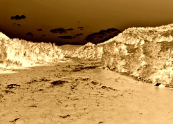 Sepia + Negatyw