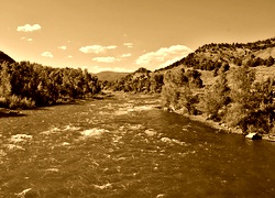 Sepia