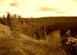 Sepia