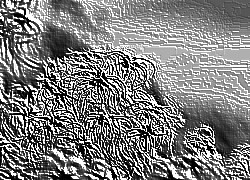 Skamielina