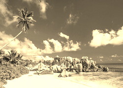 Szary + Sepia