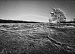 Skamielina