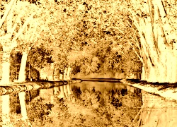 Sepia + Negatyw