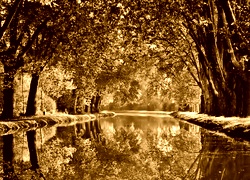 Sepia