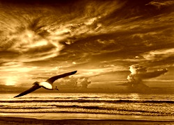 Sepia