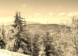 Sepia