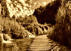 Sepia