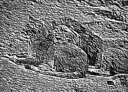 Skamielina